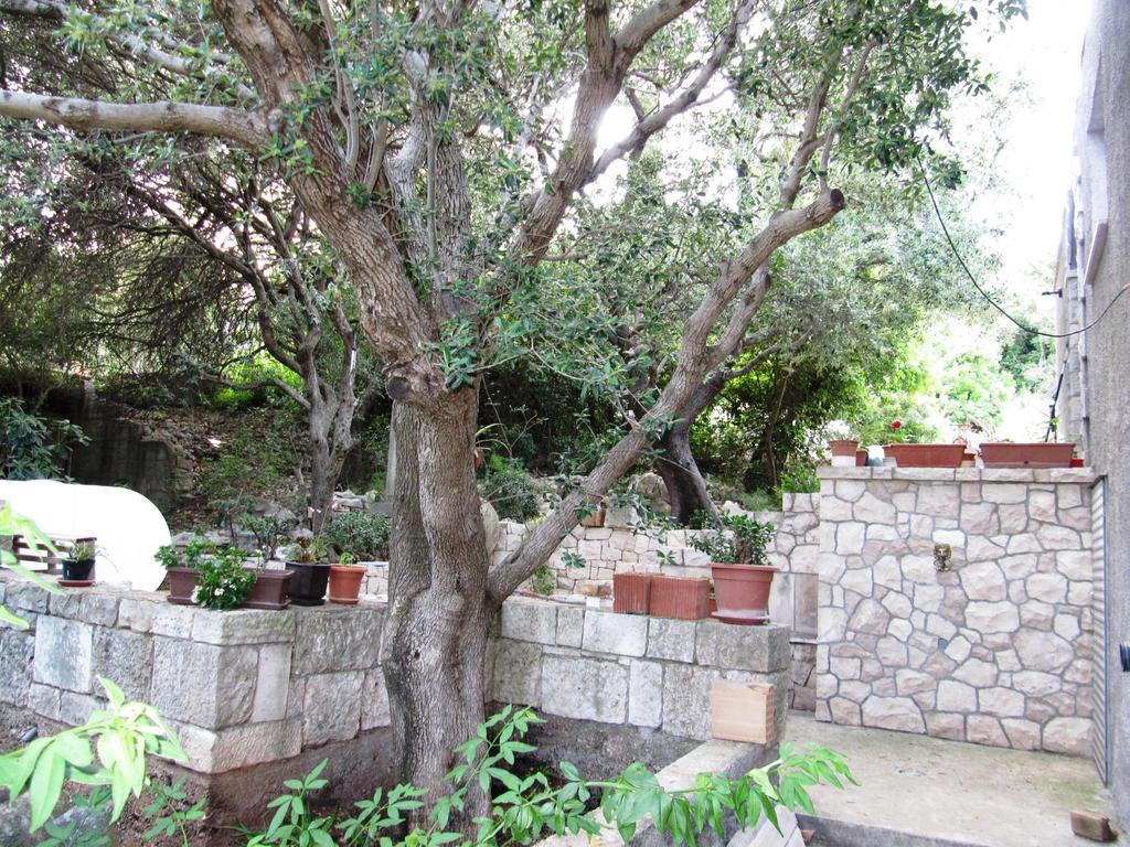 קורצולה Apartmans And Rooms Dunjini Dvori מראה חיצוני תמונה